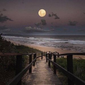 Meet your Posher, Ingrid